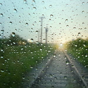 Rain On Train Track Web